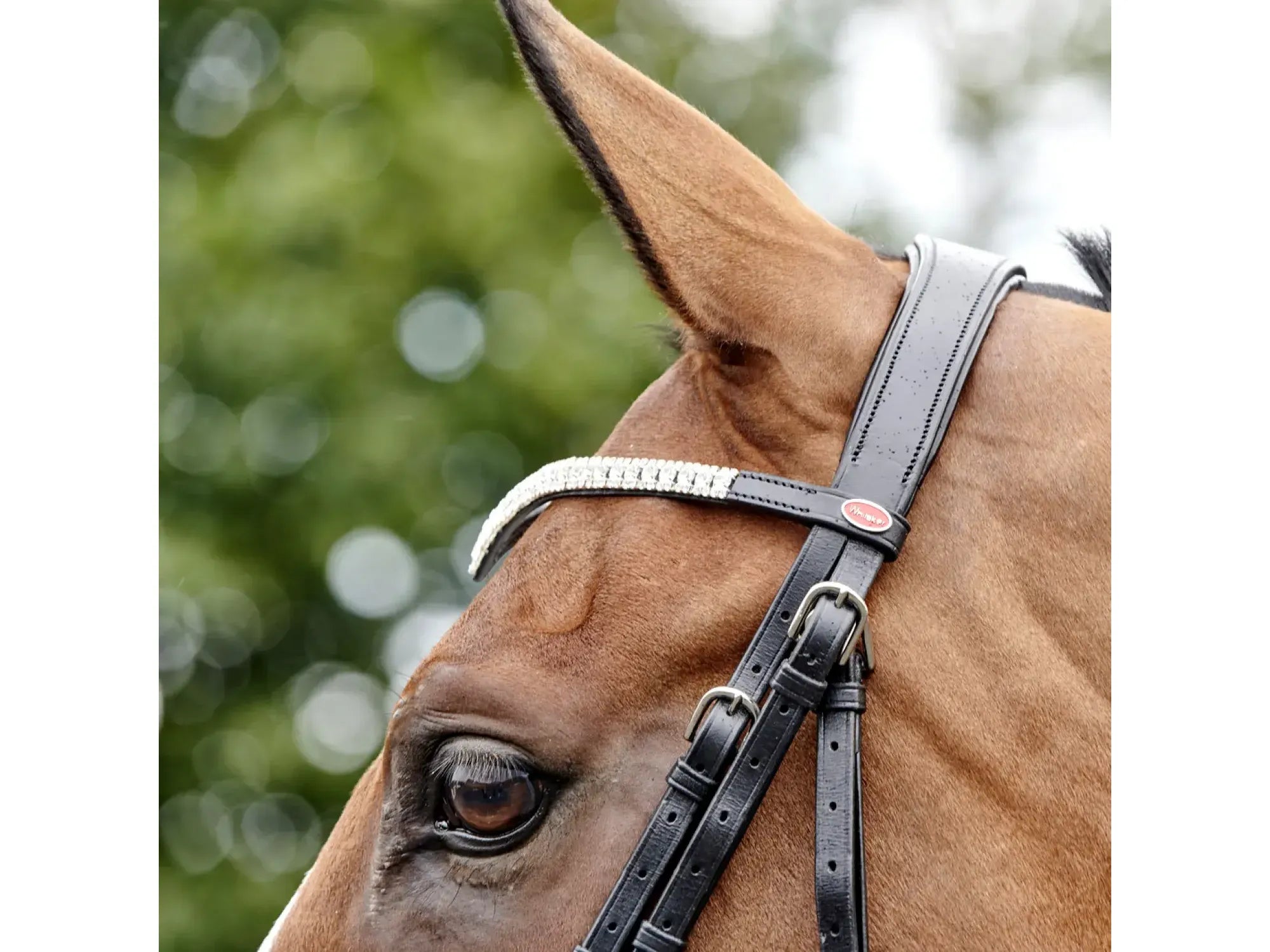 John Whitaker Lynton Snaffle Bridle with 2 Browbands