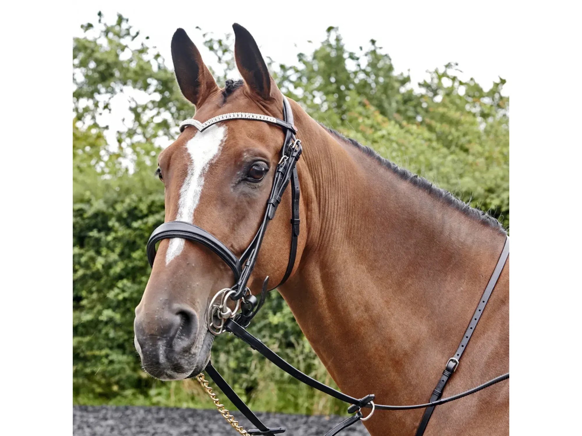John Whitaker Lynton Snaffle Bridle with 2 Browbands