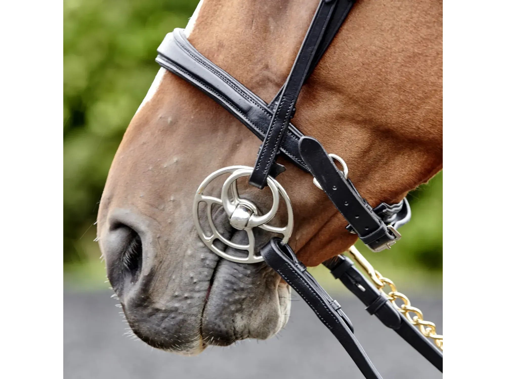 John Whitaker Lynton Snaffle Bridle with 2 Browbands