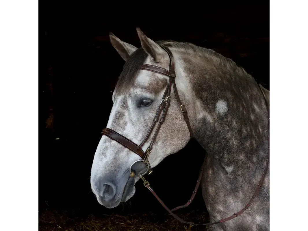 John Whitaker Madrid Bridle with Reins - Available in Cob or Full - Black or Havana, Pick'n'Mix