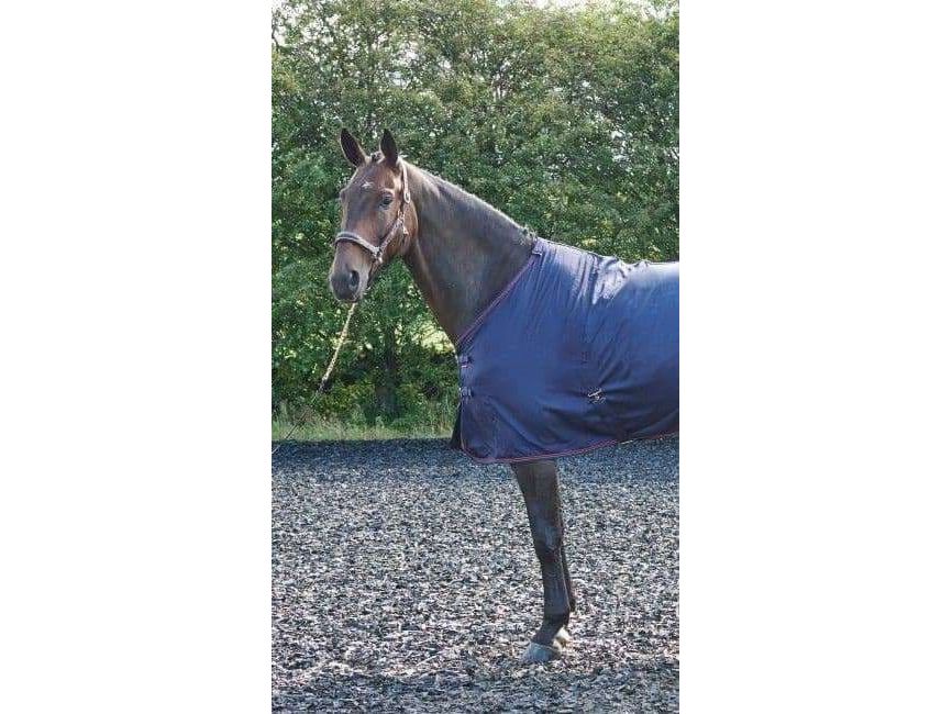 John Whitaker Rastrick Multipurpose Rug