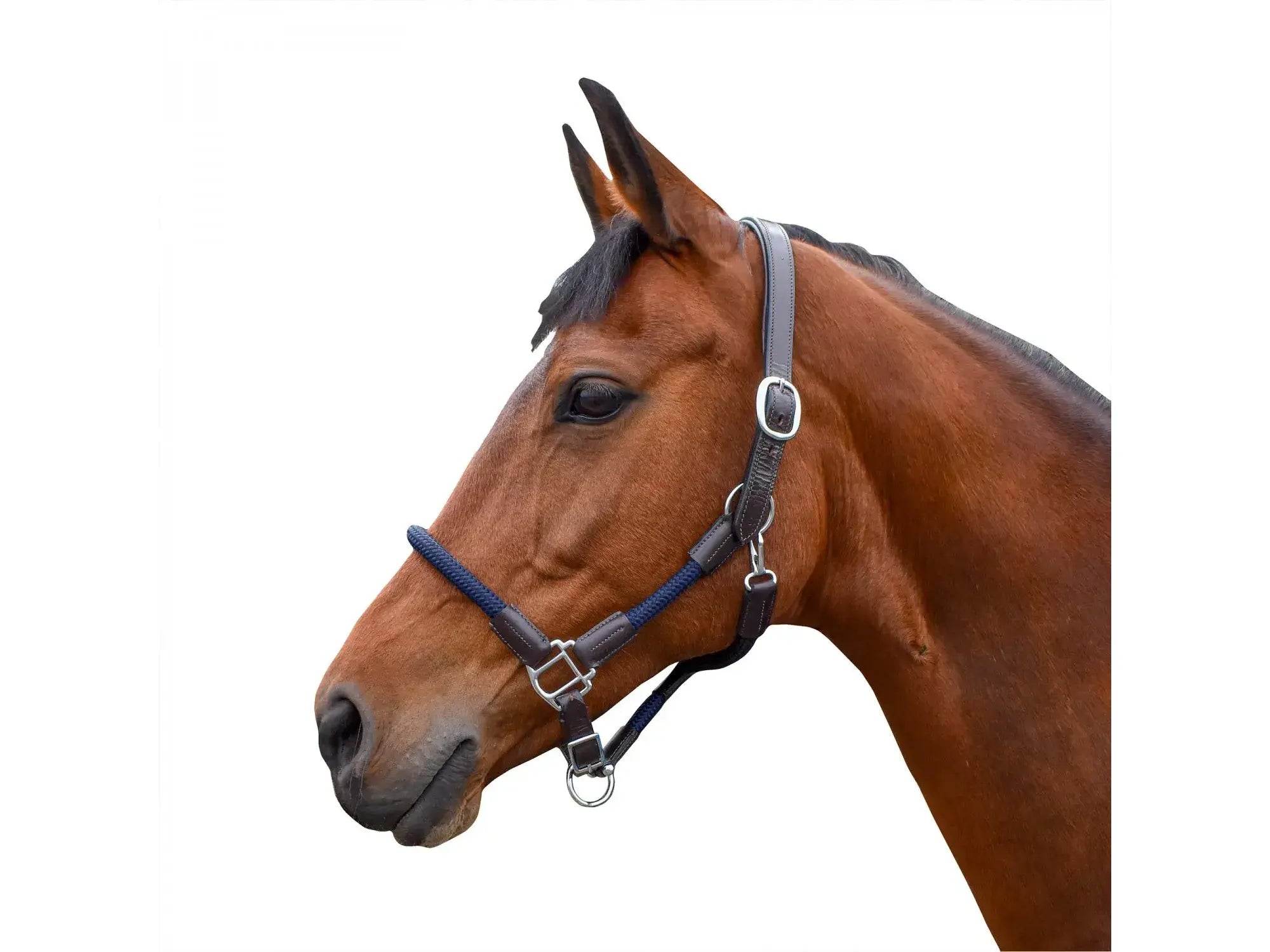 John Whitaker Raywell Soft Rope Headcollar