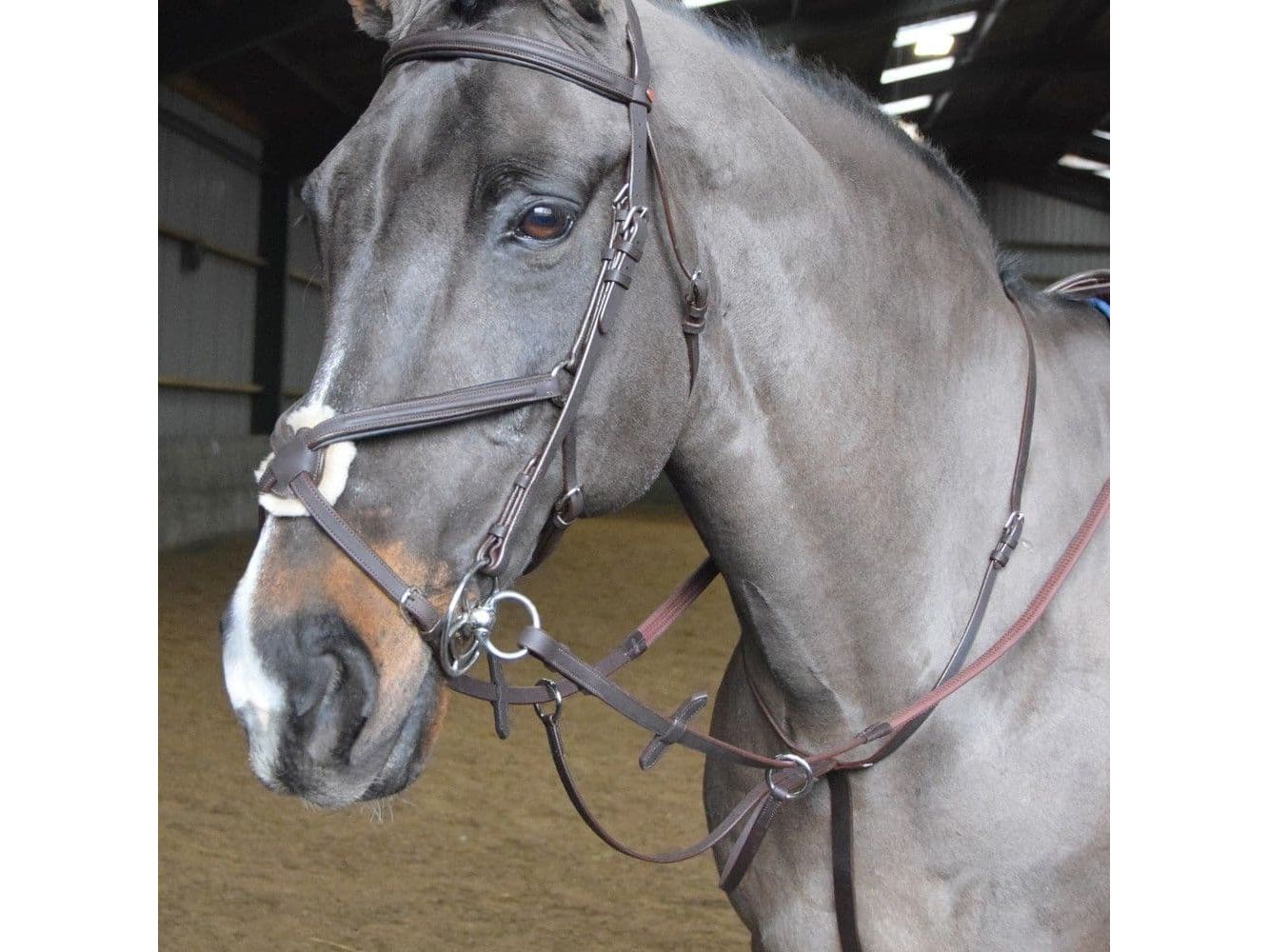John Whitaker Ready to Ride Martingale