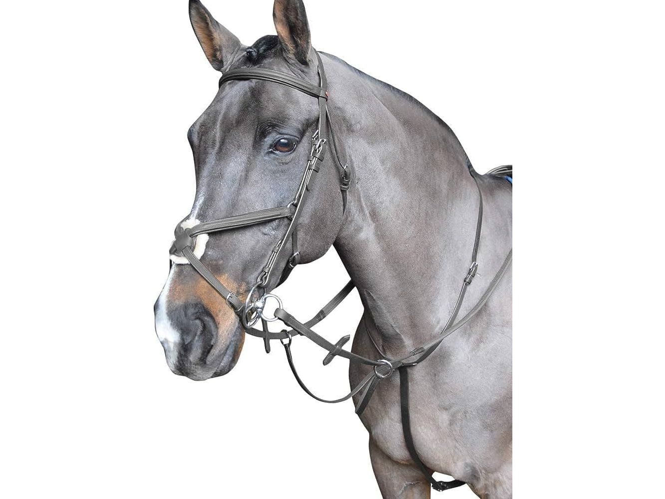 John Whitaker Ready to Ride Martingale