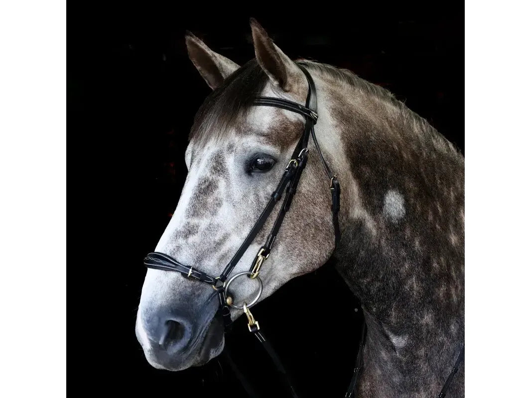 John Whitaker Rome Bridle with Reins - Available in Cob or Full - Black or Havana, Pick'n'Mix