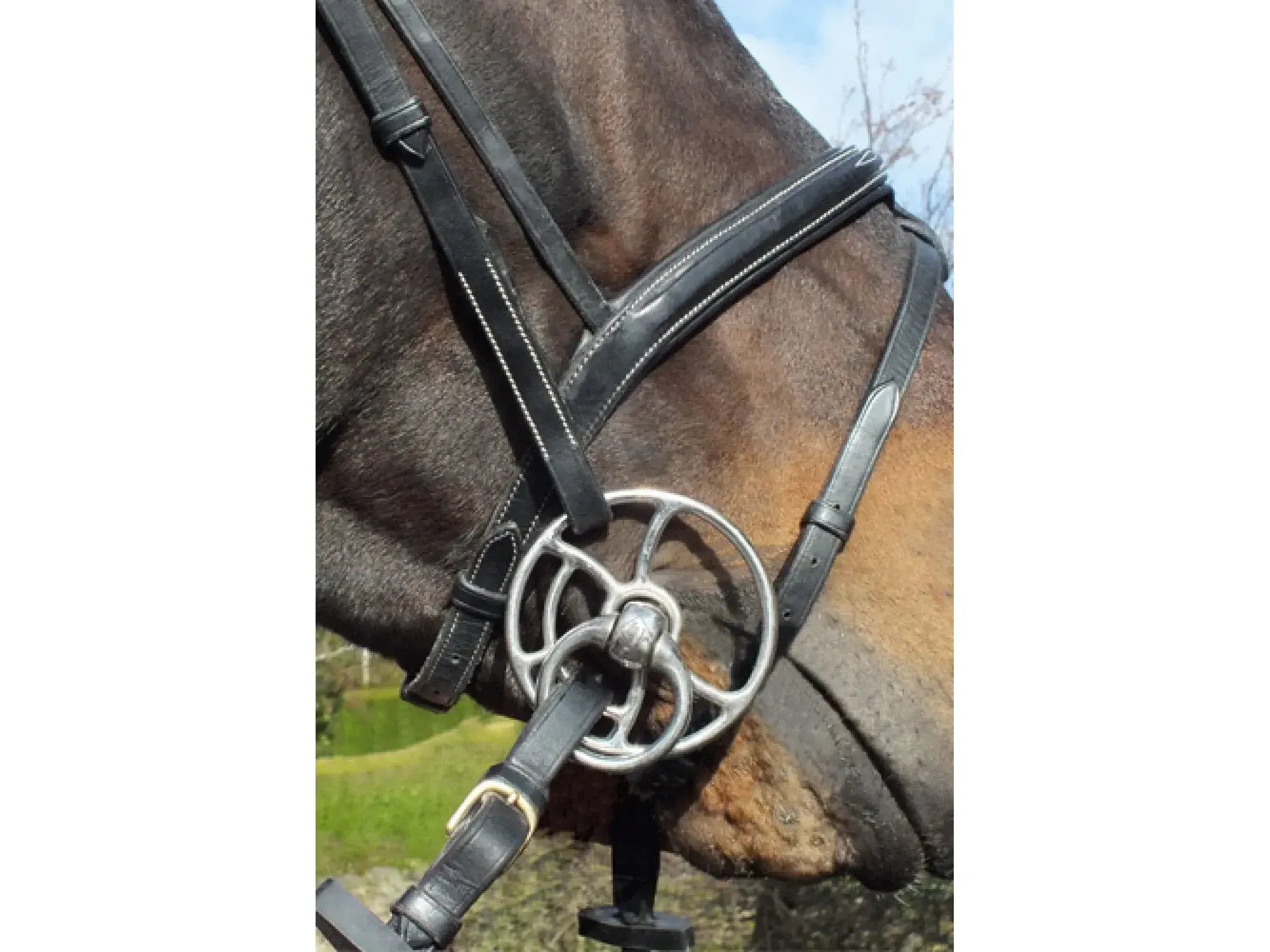 John Whitaker Snaffle Universal Bit