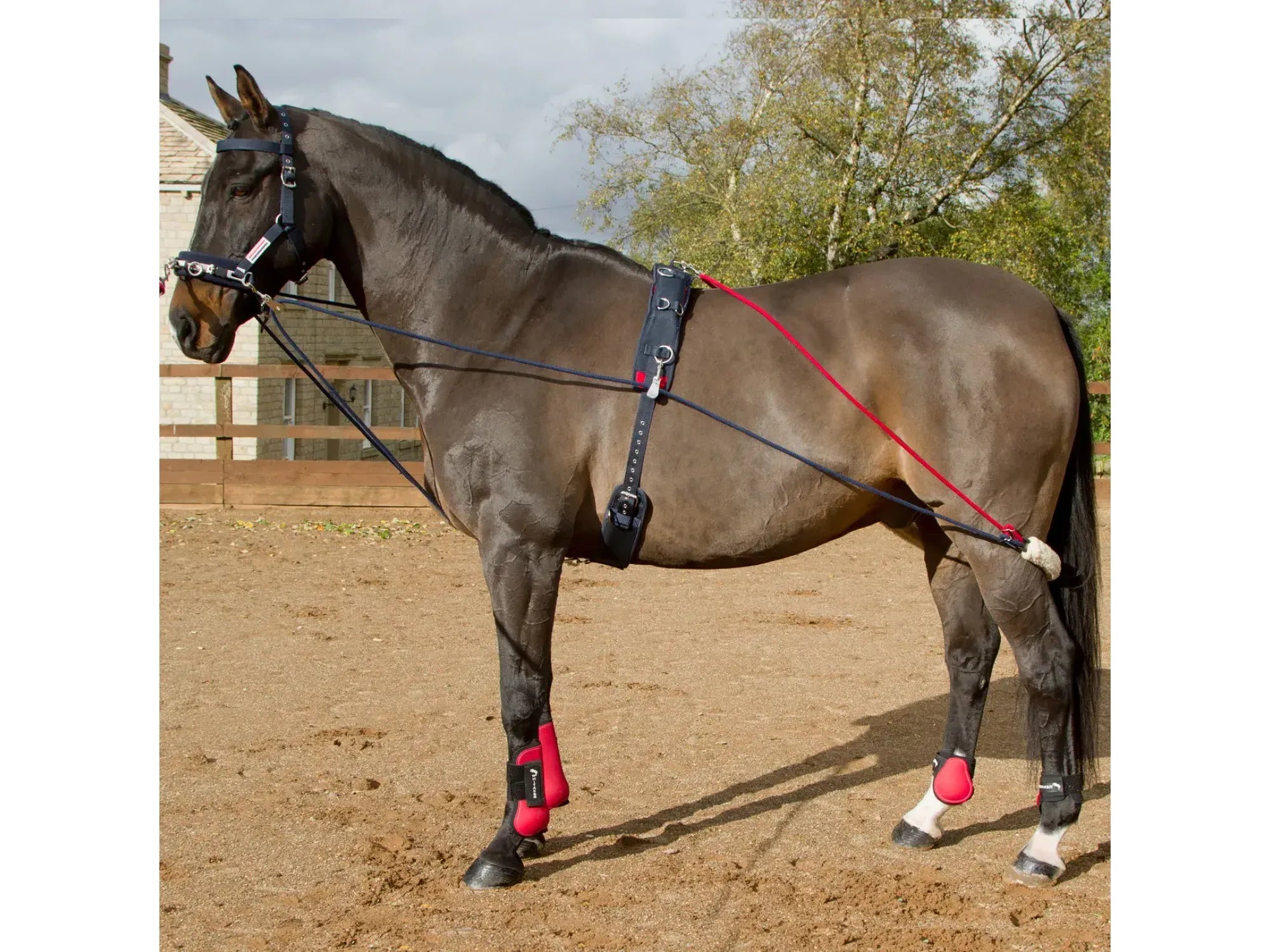 John Whitaker Training System