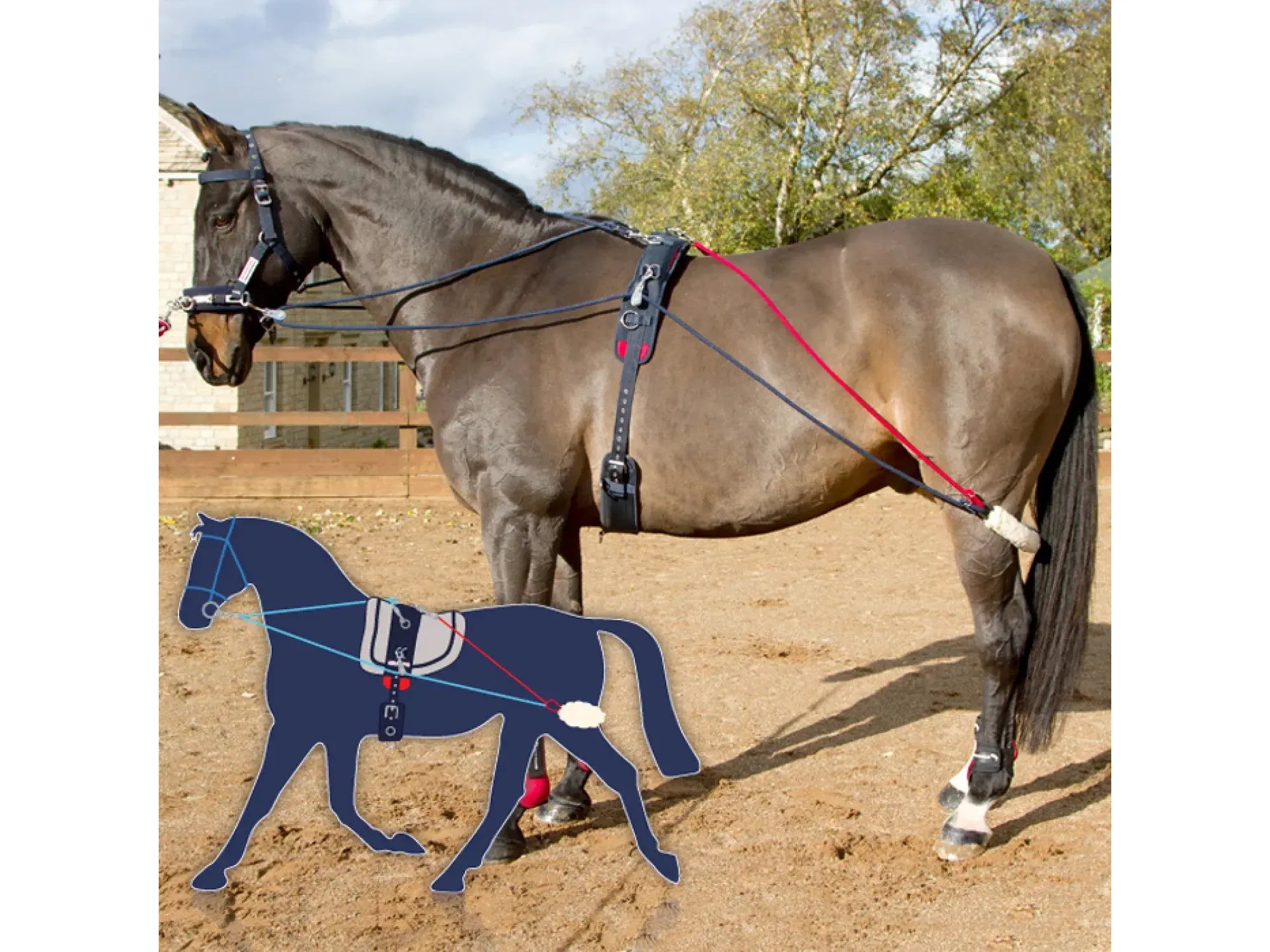 John Whitaker Training System