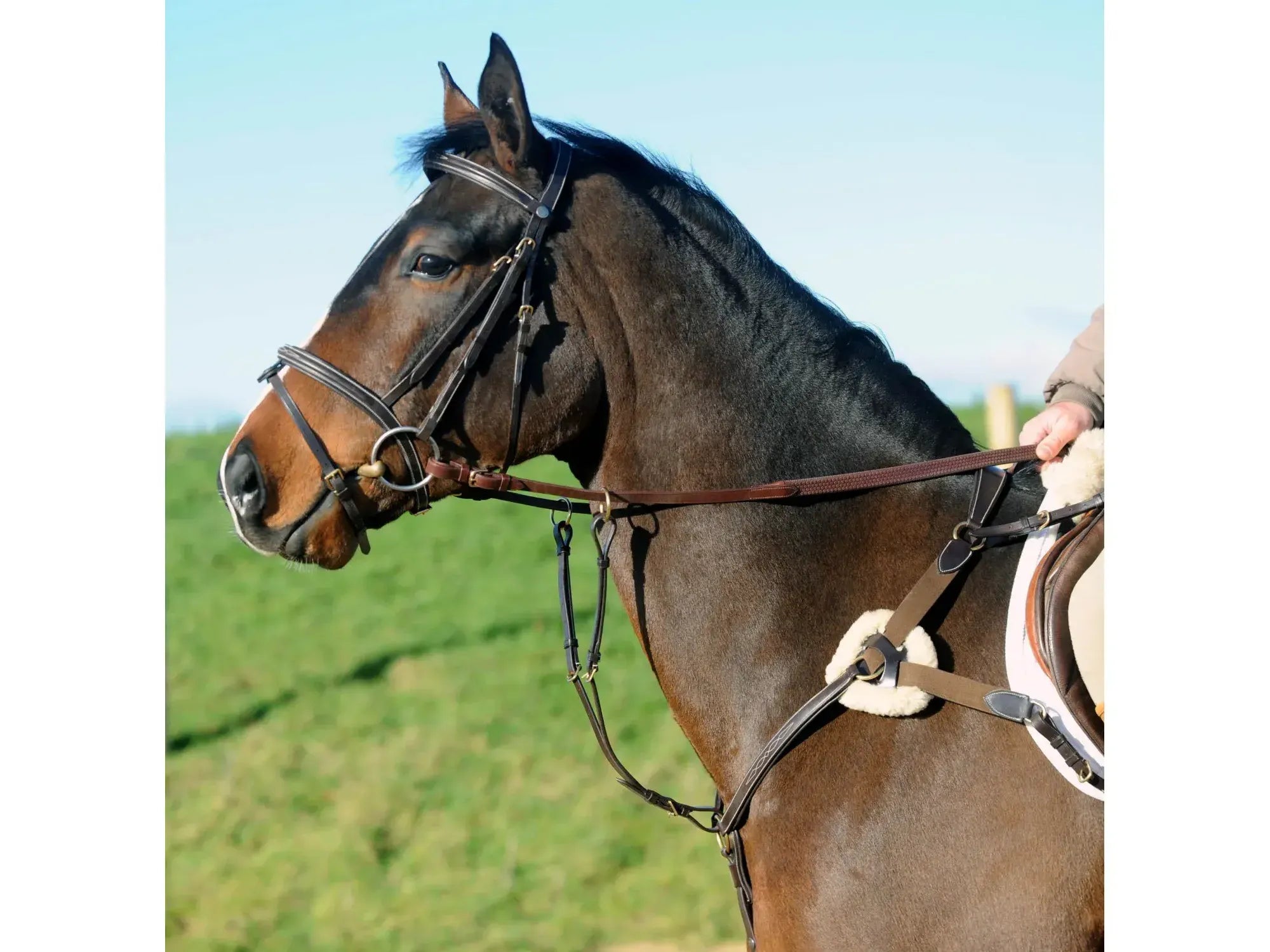 John Whitaker Valencia 5 Point Breastplate