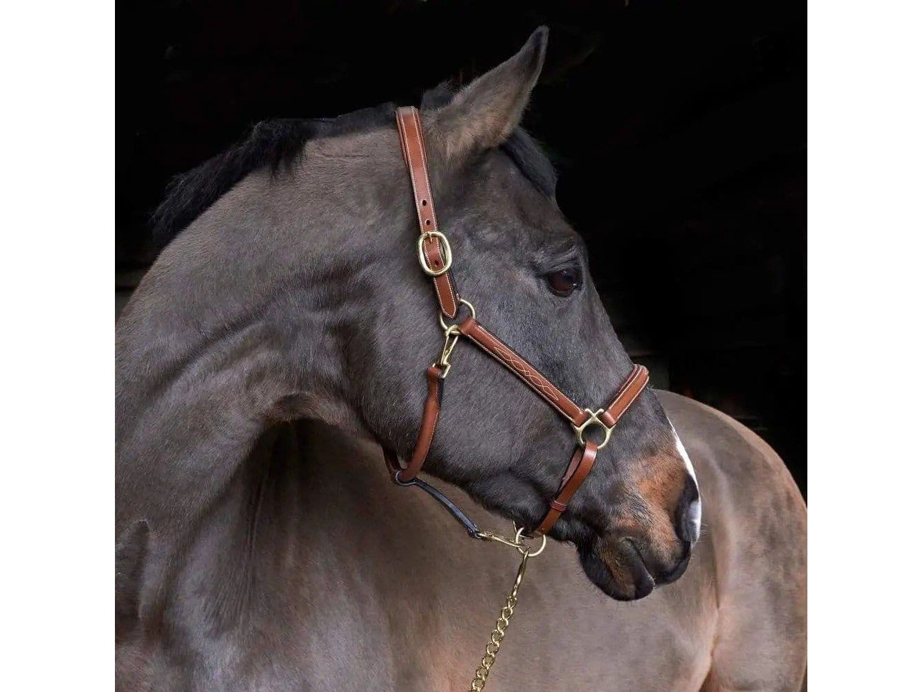 John Whitaker Valencia Luxury Leather Fancy Stitched Head Collar