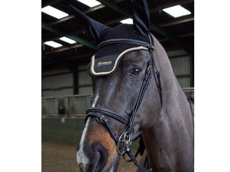 John Whitaker Valencia Super Deluxe Flash Bridle with Reins