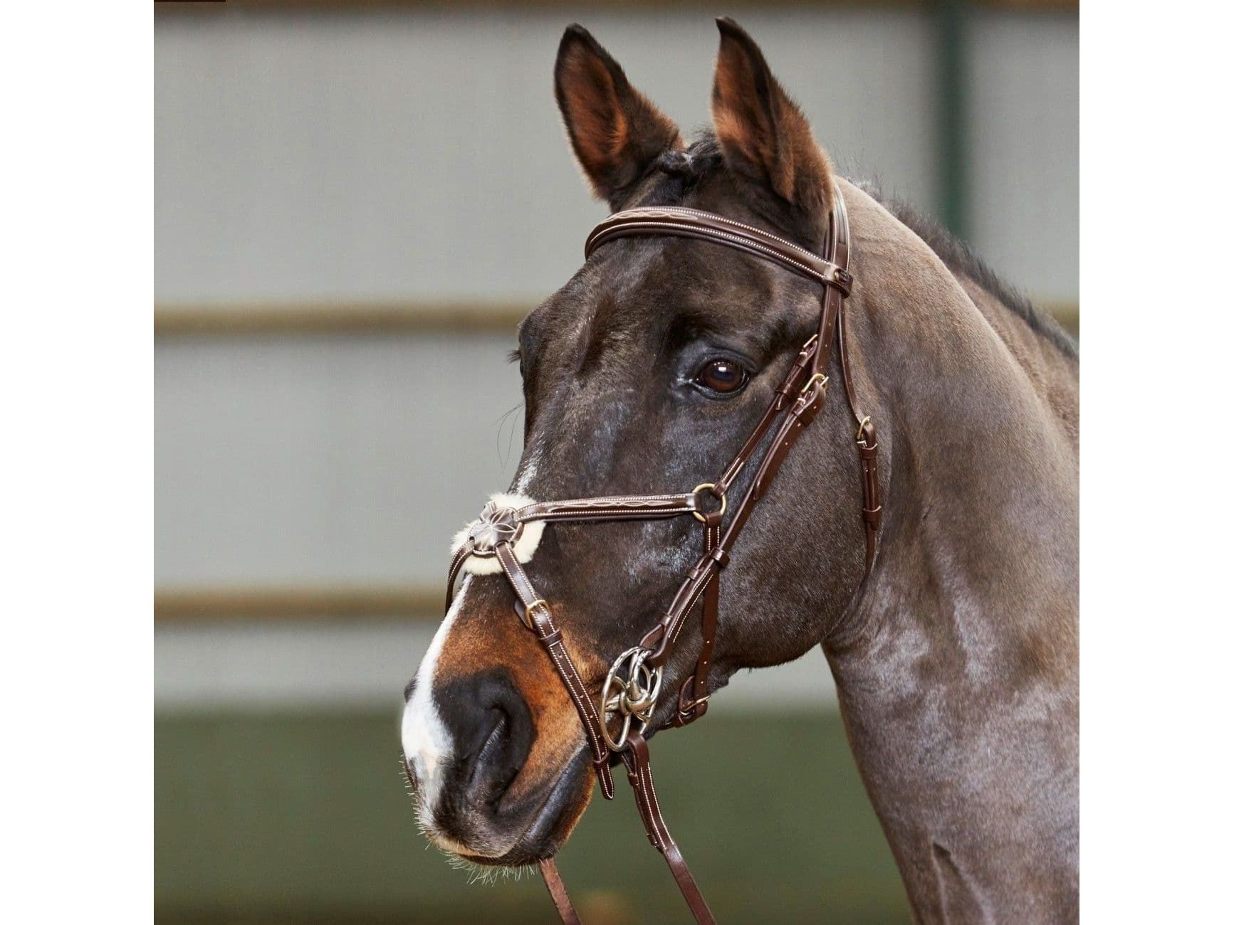 John Whitaker Valencia Super Deluxe Mexican Bridle with Reins