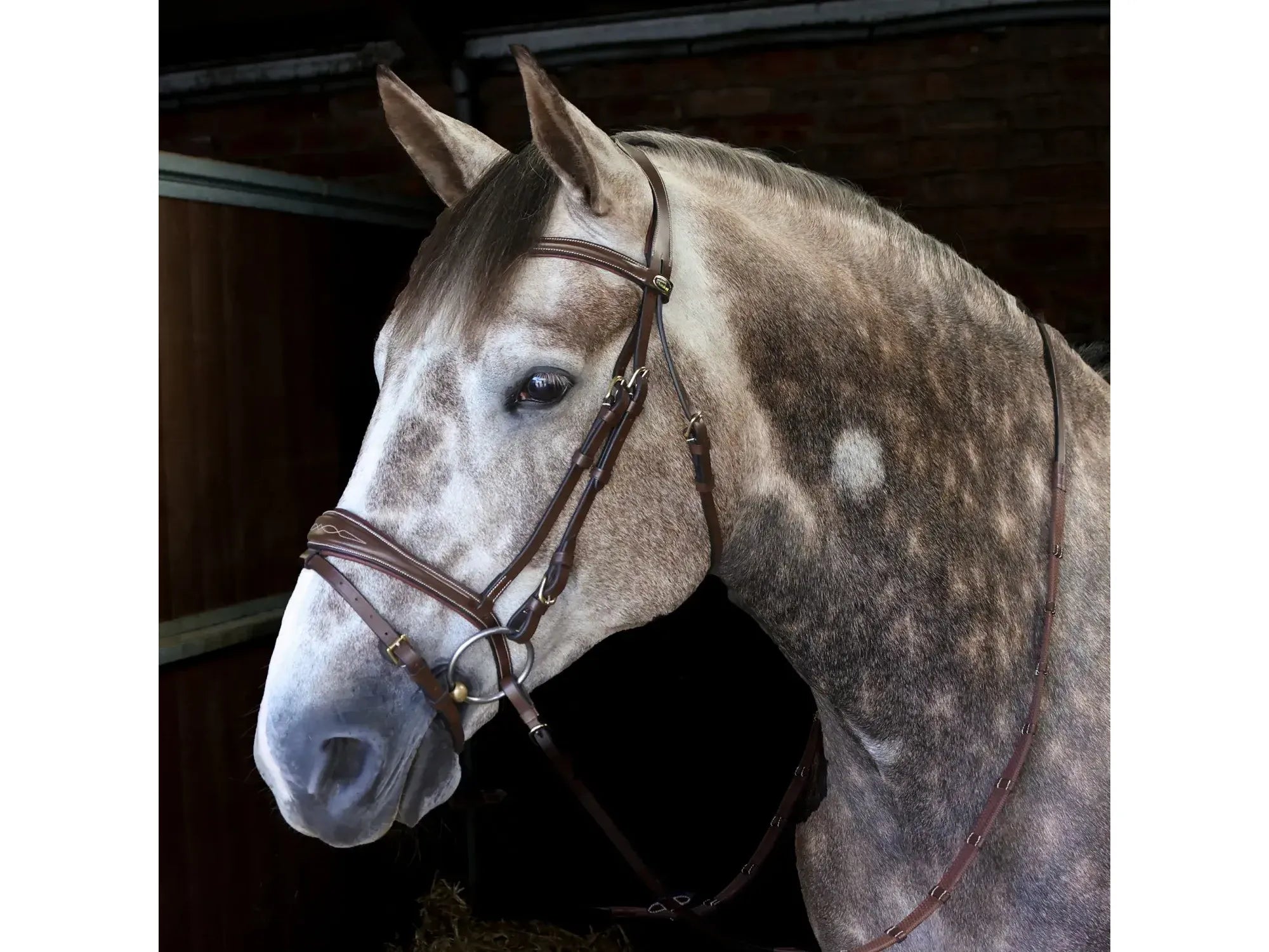 John Whitaker Venice Bridle with Reins - Available in Cob or Full - Black or Havana, Pick'n'Mix