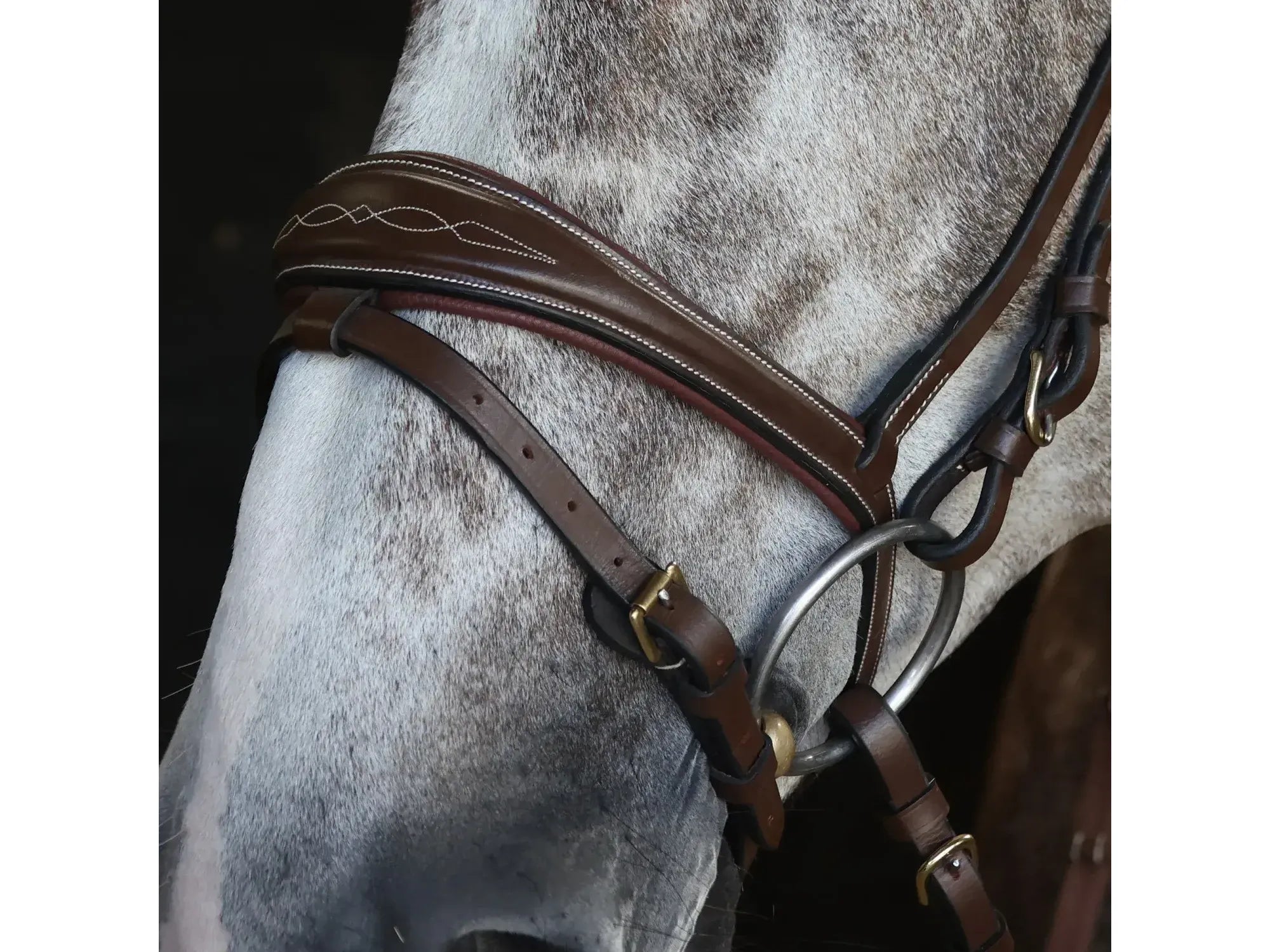 John Whitaker Venice Bridle with Reins - Available in Cob or Full - Black or Havana, Pick'n'Mix