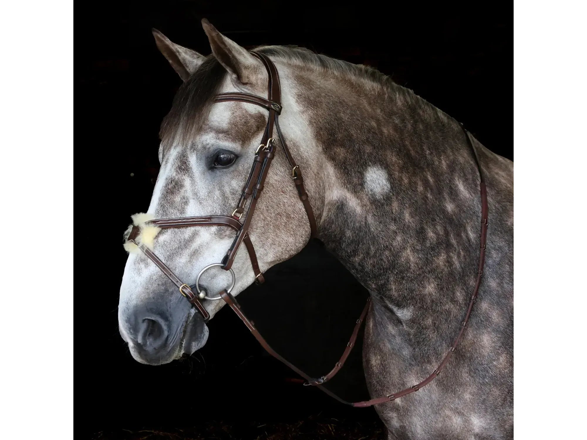 John Whitaker Vienna Bridle with Reins - Available in Cob or Full - Black or Havana, Pick'n'Mix