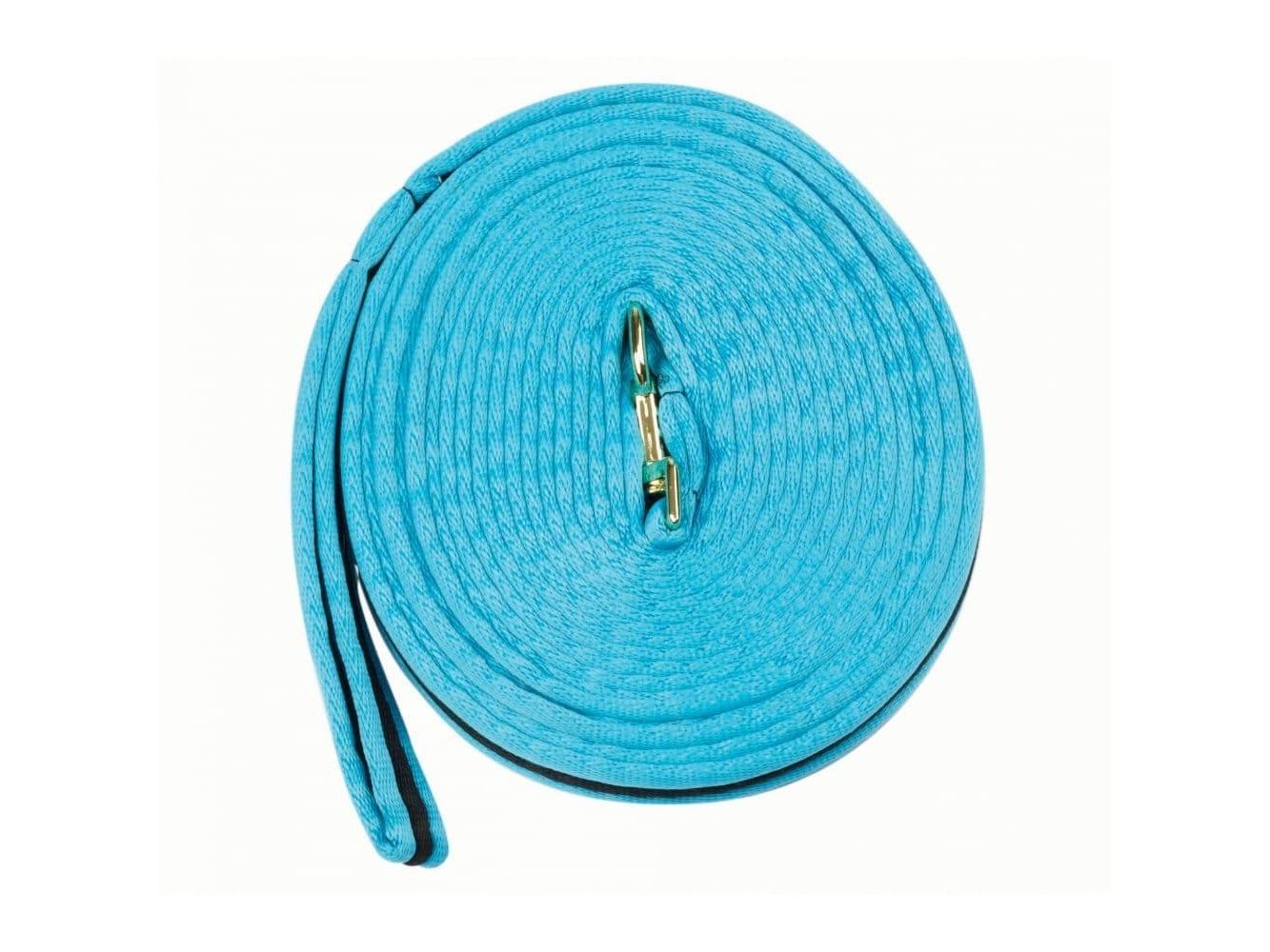 Kincade Brights Two Tone Padded Lunging Rein