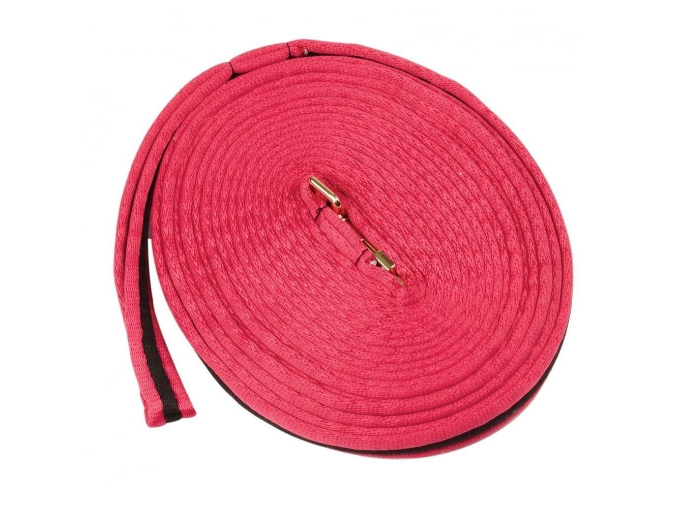 Kincade Brights Two Tone Padded Lunging Rein