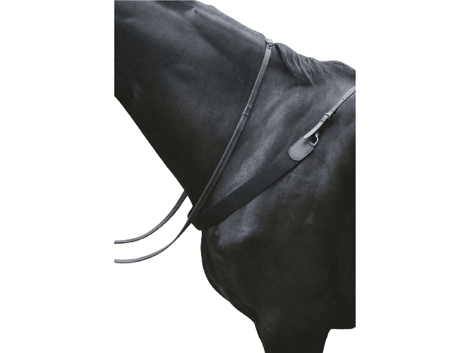 Kincade Elastic Showjumping Breastplate II