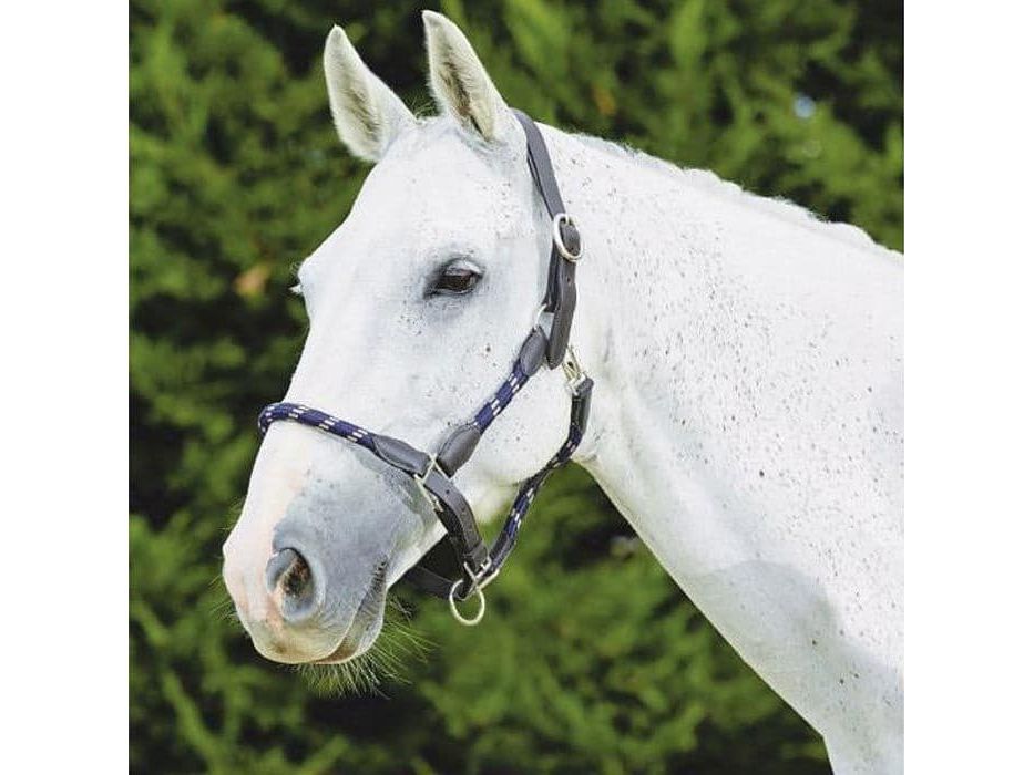 Kincade Leather Rope Headcollar