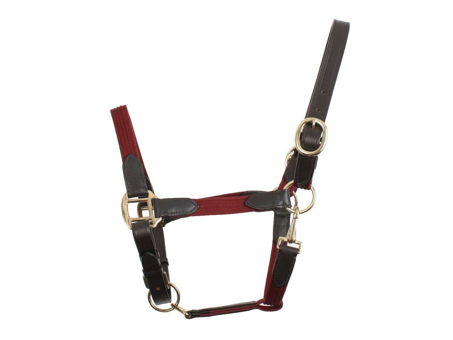 Kincade Leather Web Headcollar
