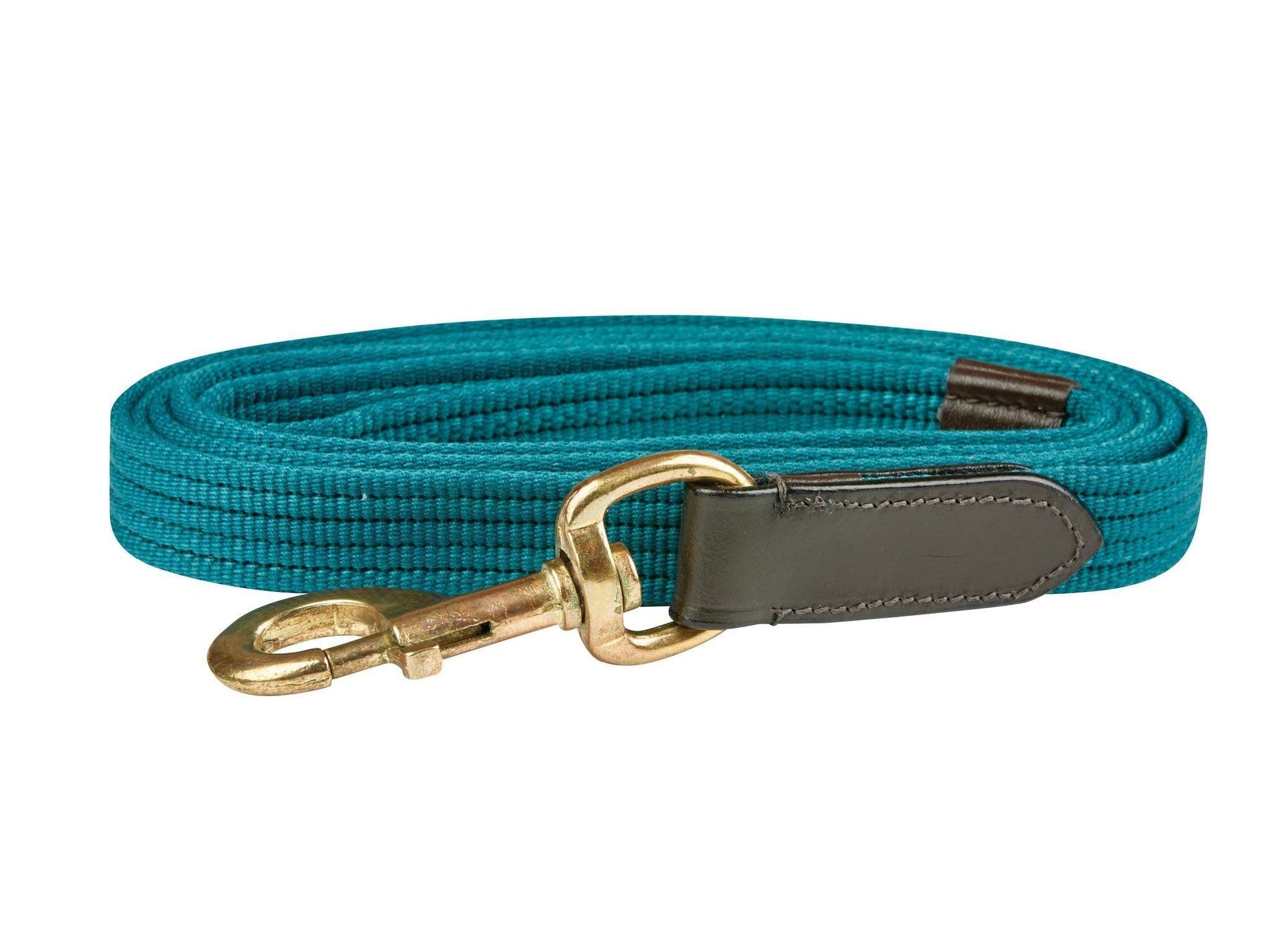 Kincade Leather Web Lead
