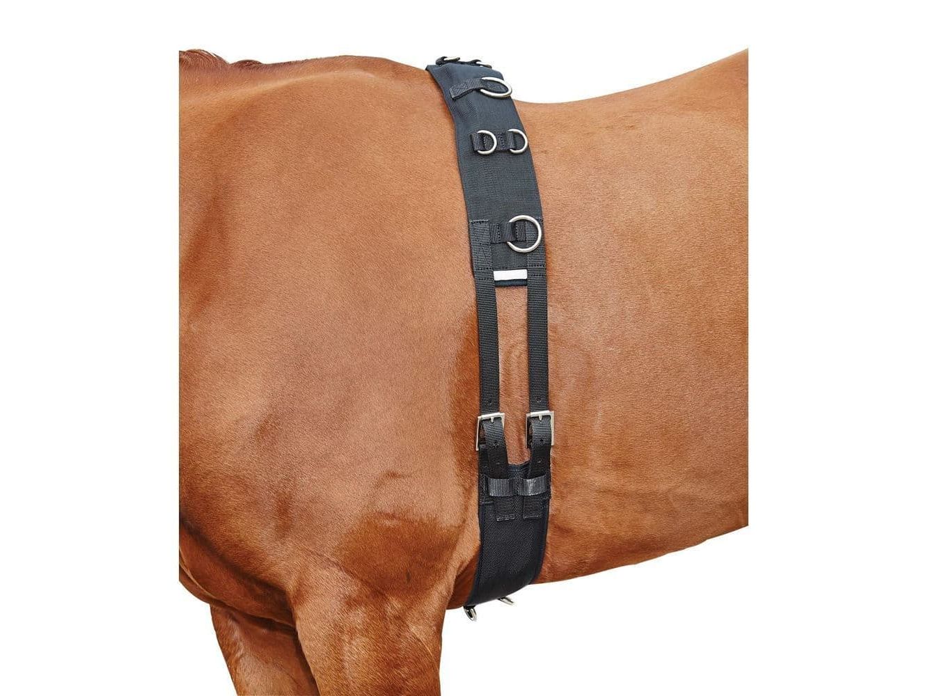 Kincade Lunge Roller With Fleece Padding