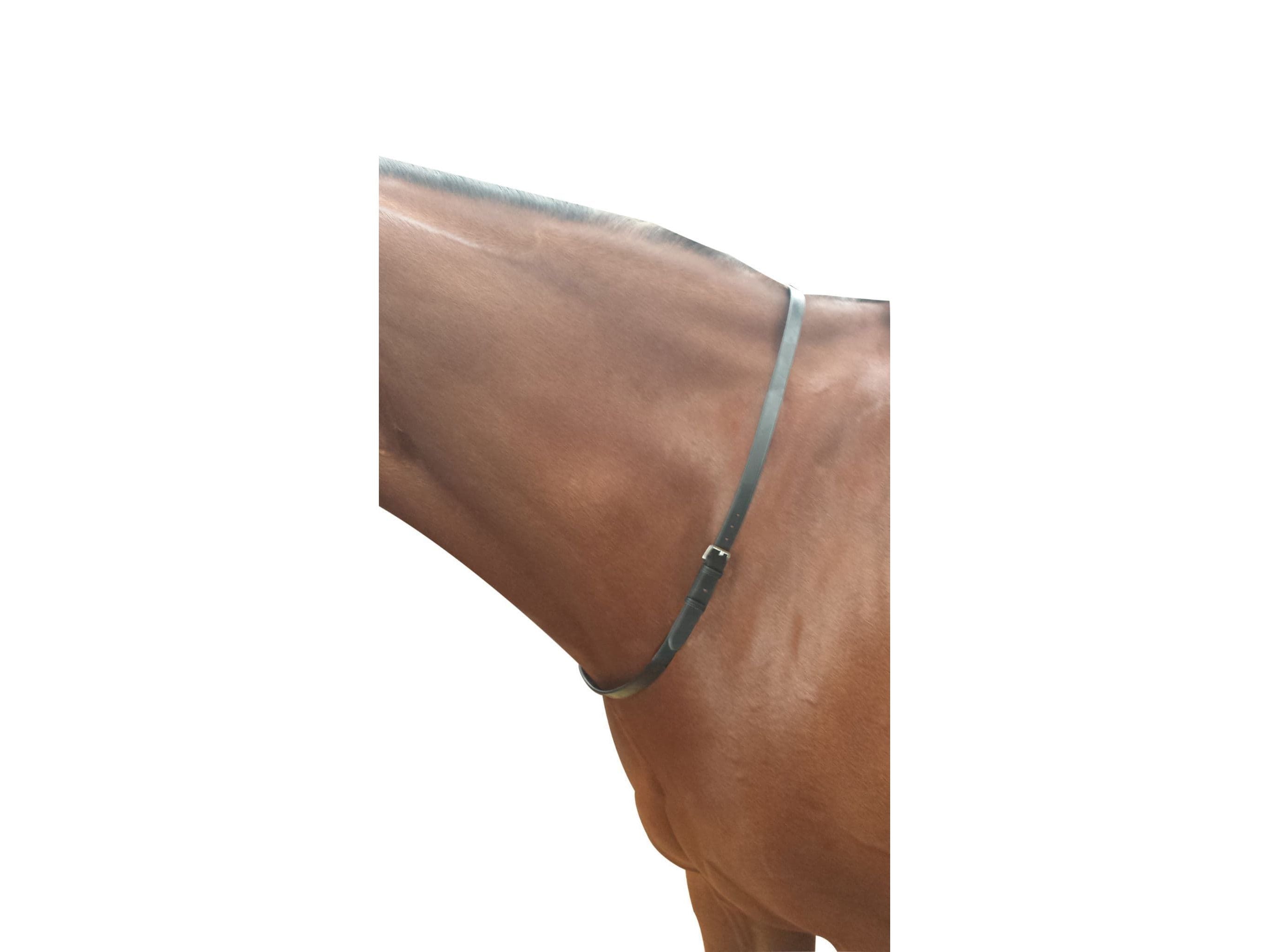 Kincade Neck Strap