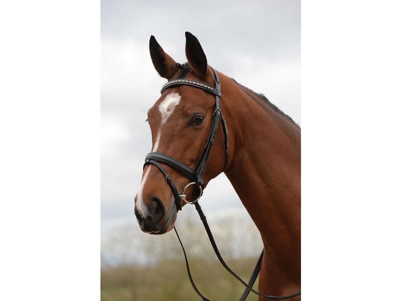 Kincade Padded Crystal Crank Flash Bridle