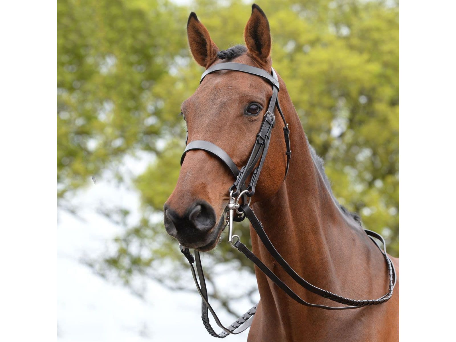 Kincade Show Weymouth Bridle II