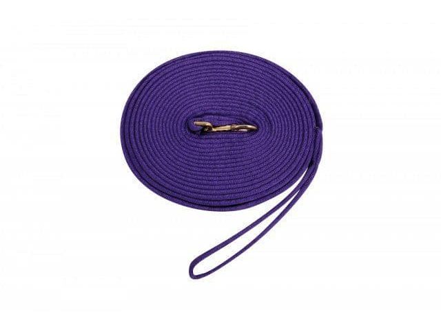 Kincade Two Tone Padded Lunging Rein