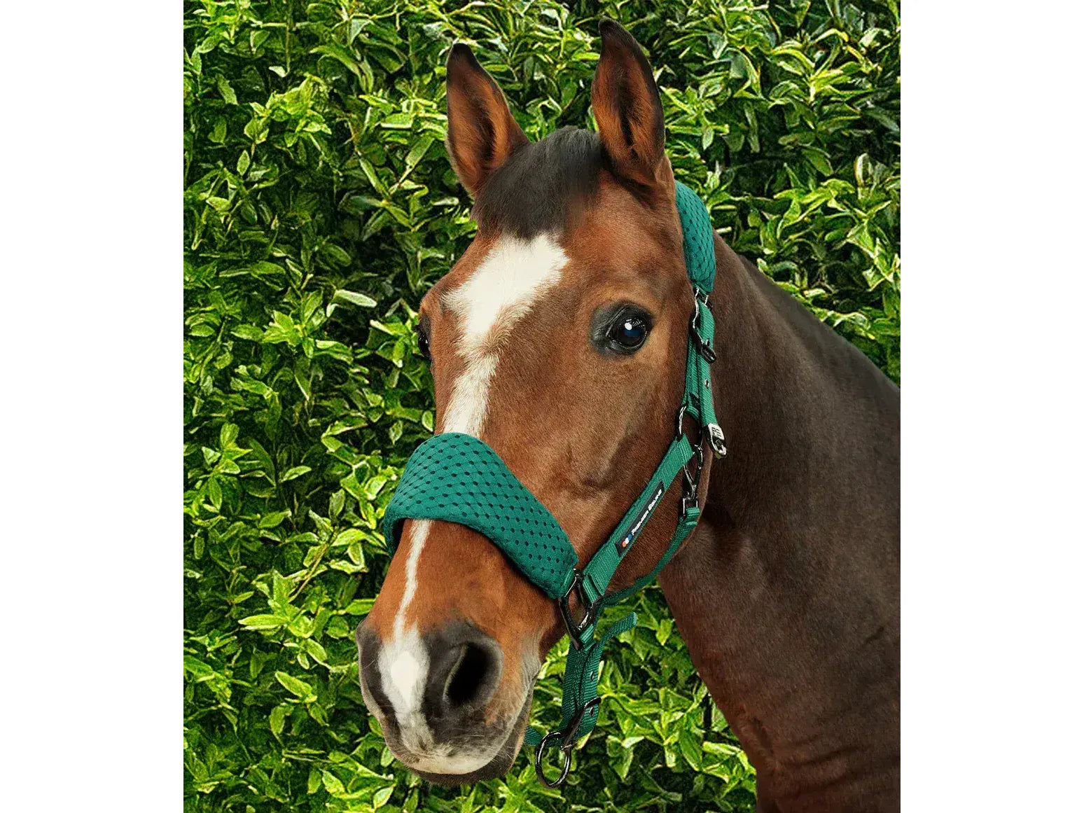 Necto 3D Mesh Head Collar with Lead Rope