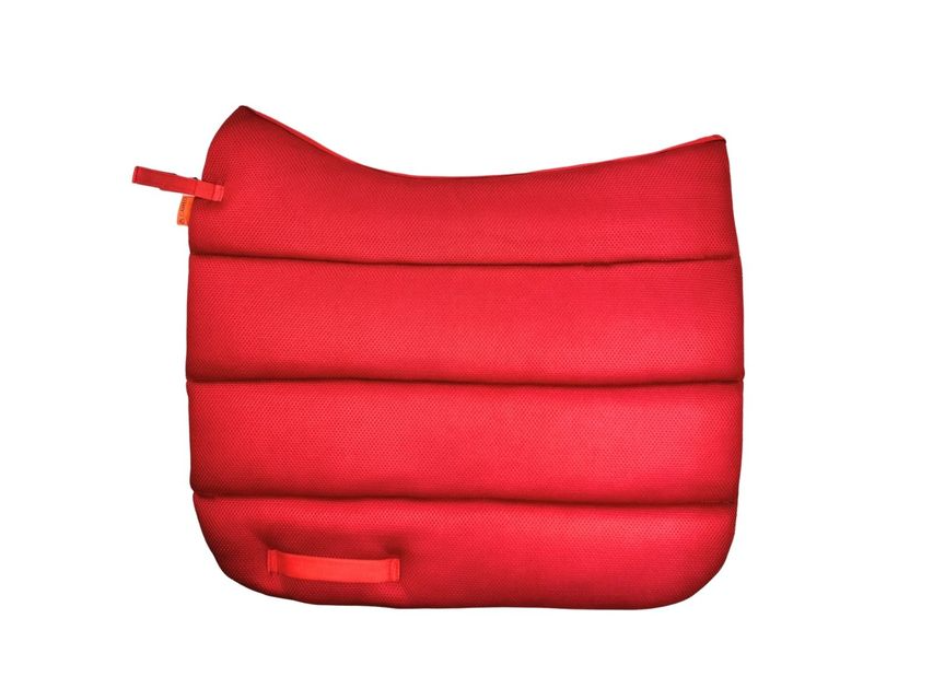 Air Work Pad Dressage view