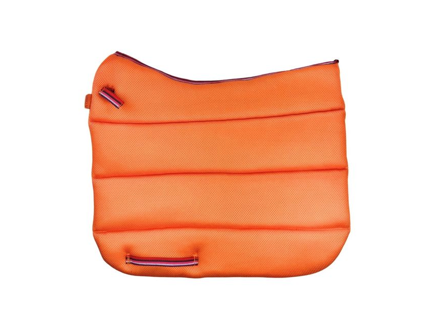 Air Work Pad Dressage view