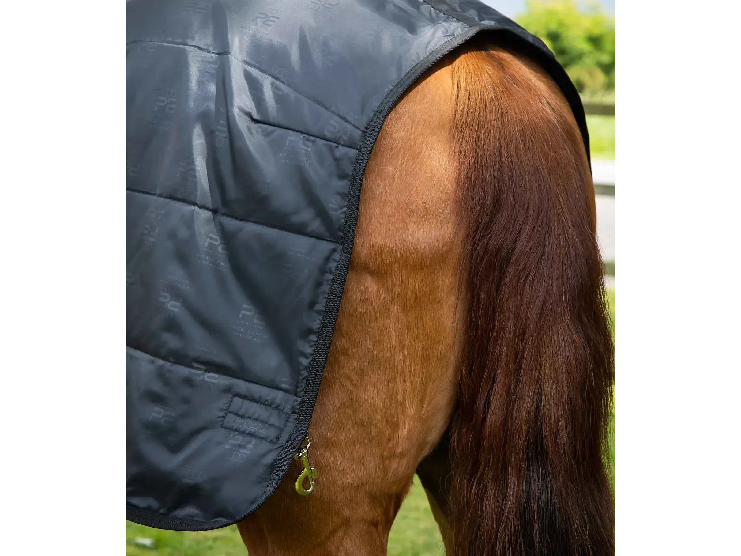 Premier Equine 50g Horse Rug Liner
