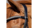 Premier Equine Abriano Anatomic Double Bridle Full Black RRP £126.72