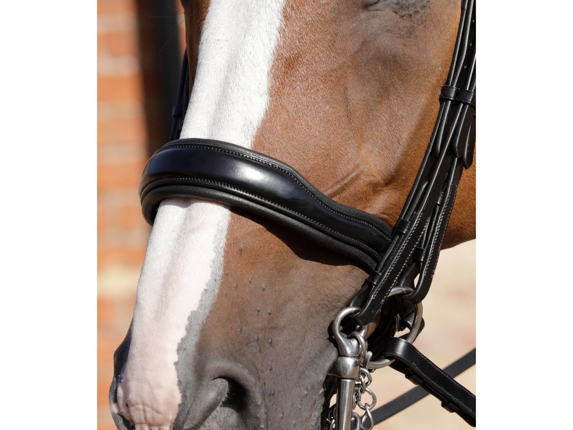 Premier Equine Abriano Anatomic Double Bridle Black