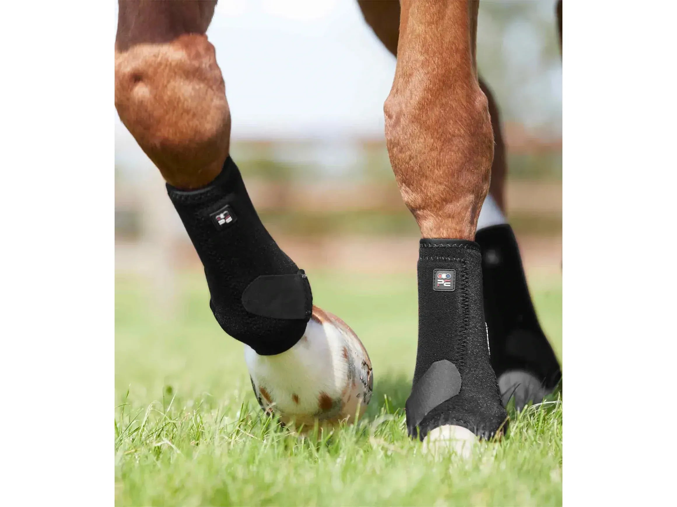 Premier Equine Air-Tech Sport Medicine Boots