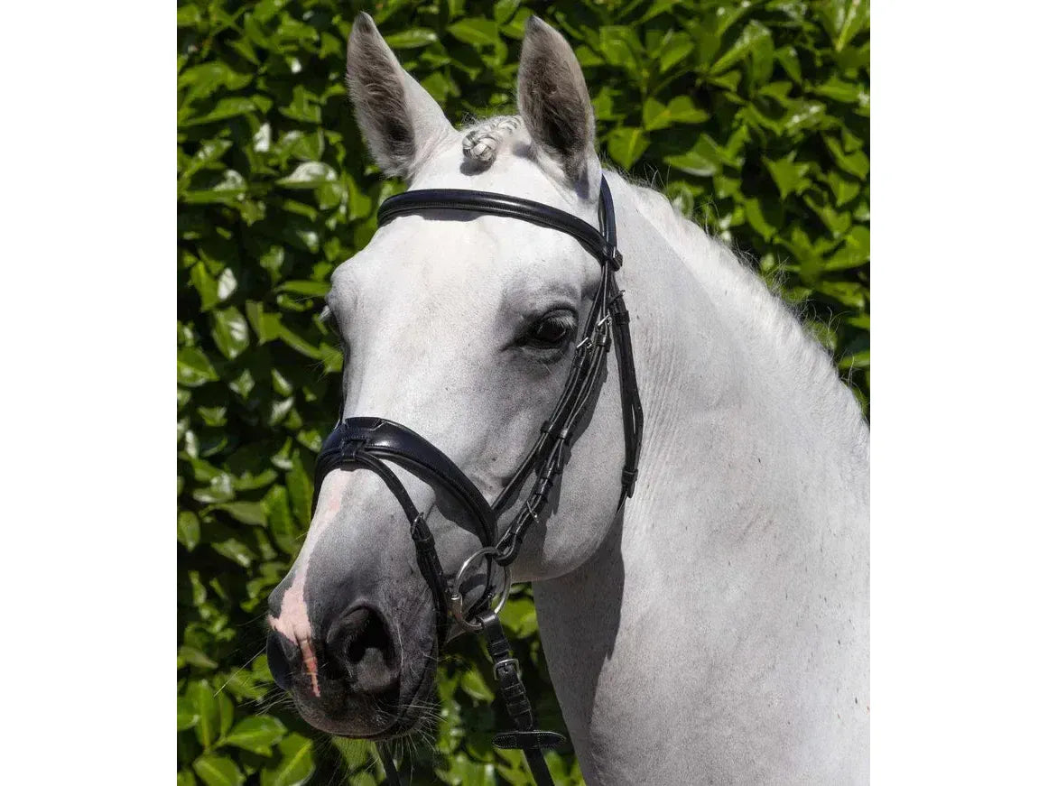 Premier Equine Artana Snaffle Bridle