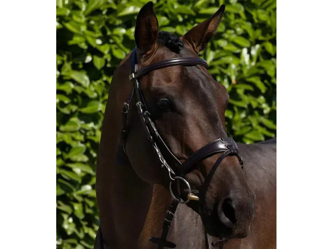 Premier Equine Artana Snaffle Bridle