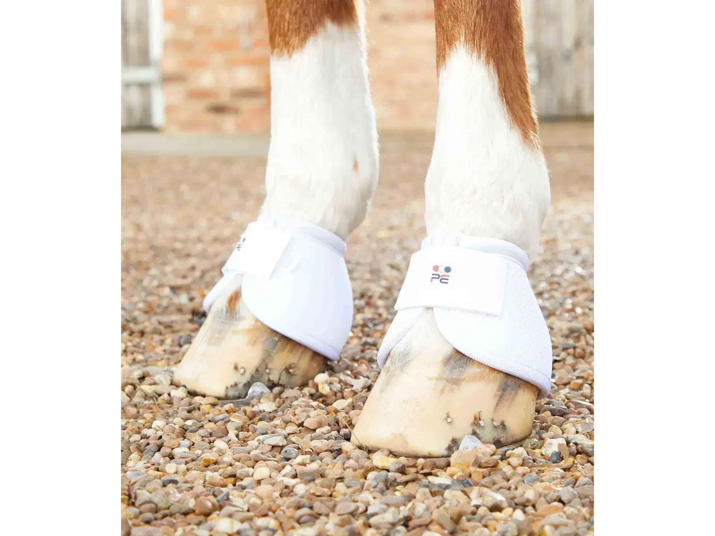 Premier Equine Ballistic No Turn Over Reach Boots