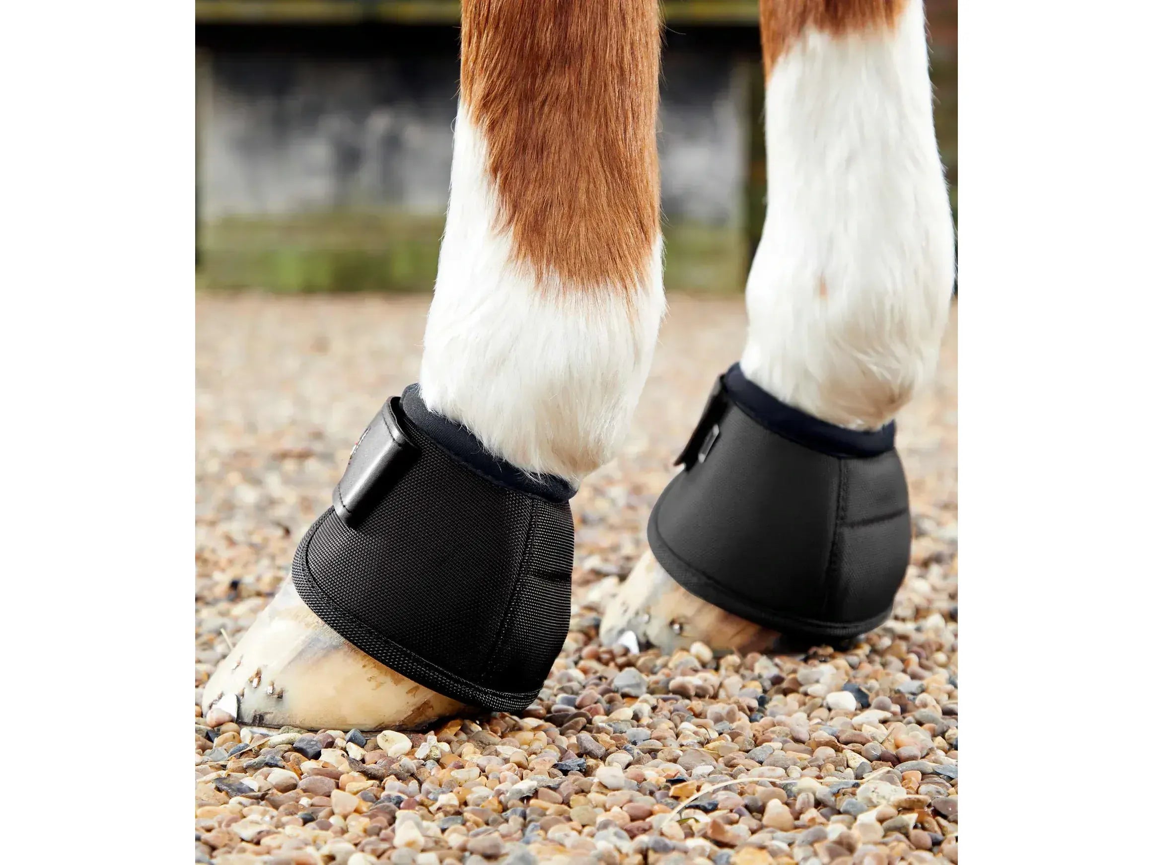 Premier Equine Ballistic No Turn Over Reach Boots
