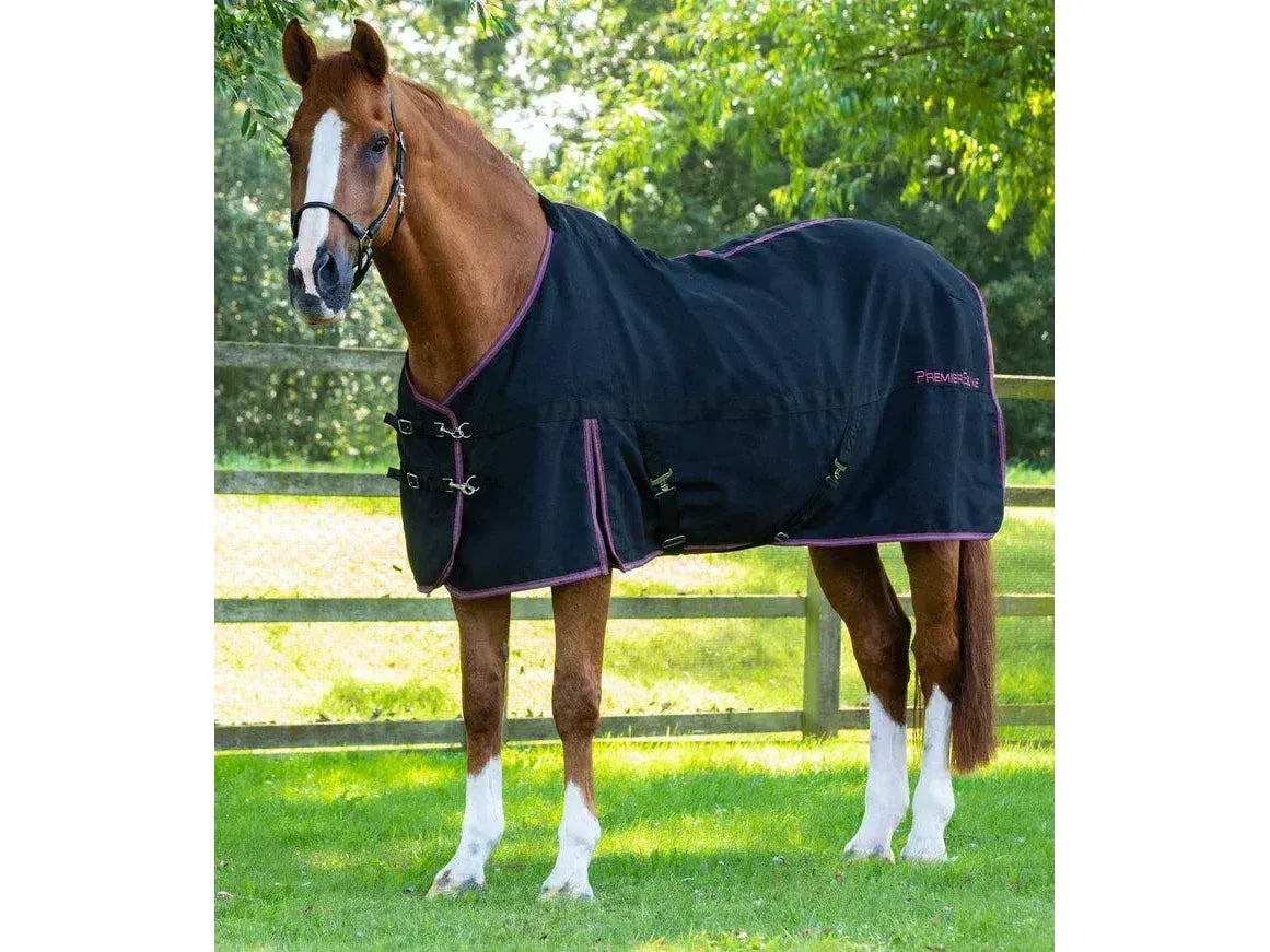 Premier Equine Barrasso Cotton Stable Sheet