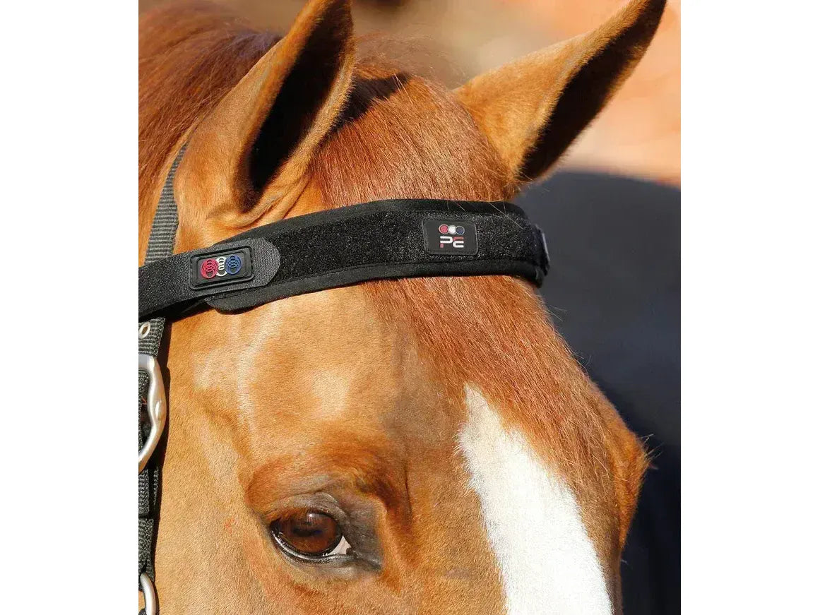 Premier Equine Bi-Polar Magni-Teque Browband