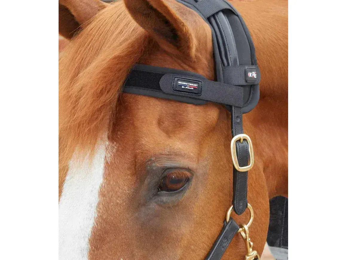 Premier Equine Bi-Polar Magni-Teque Browband