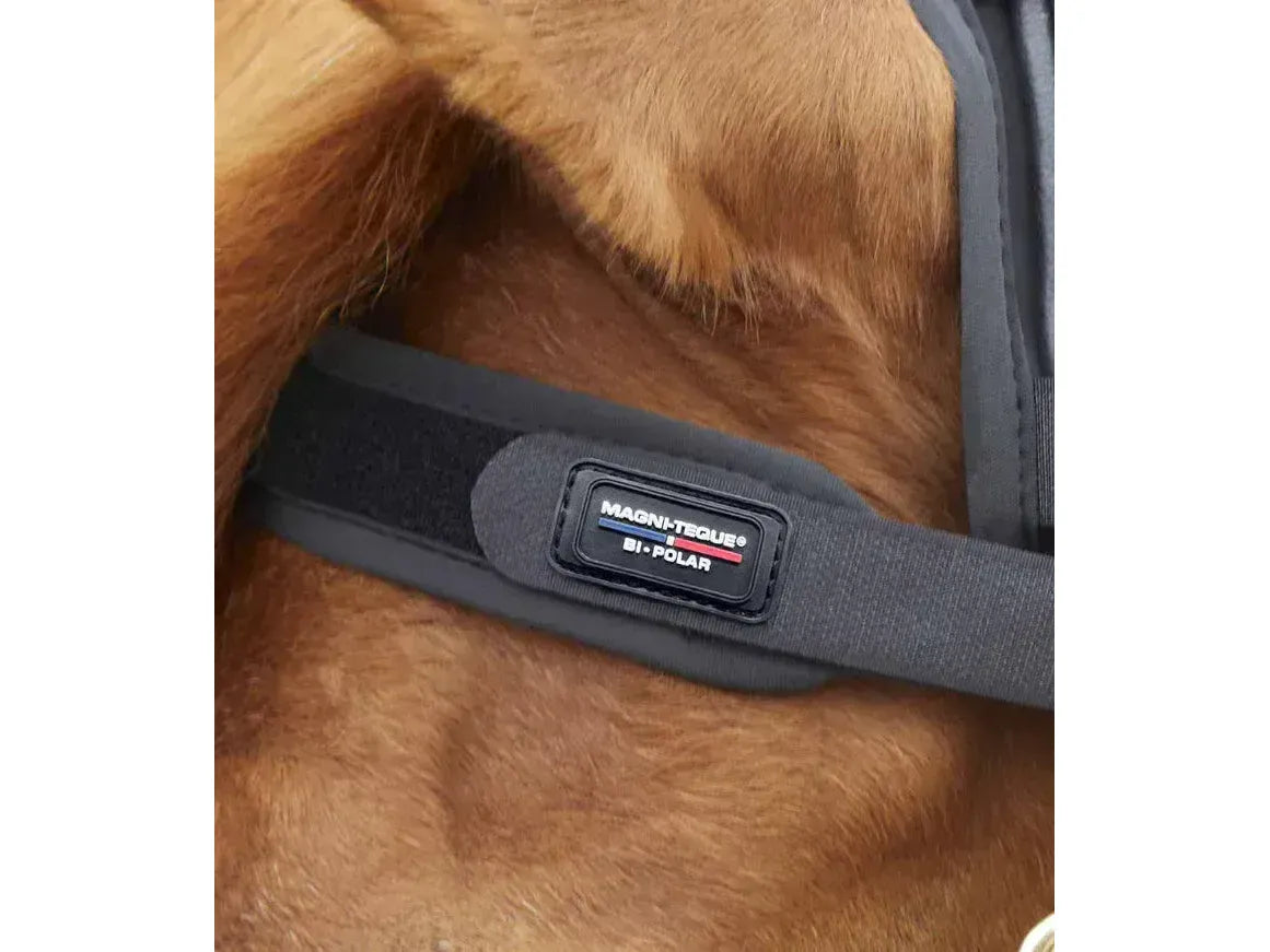 Premier Equine Bi-Polar Magni-Teque Browband