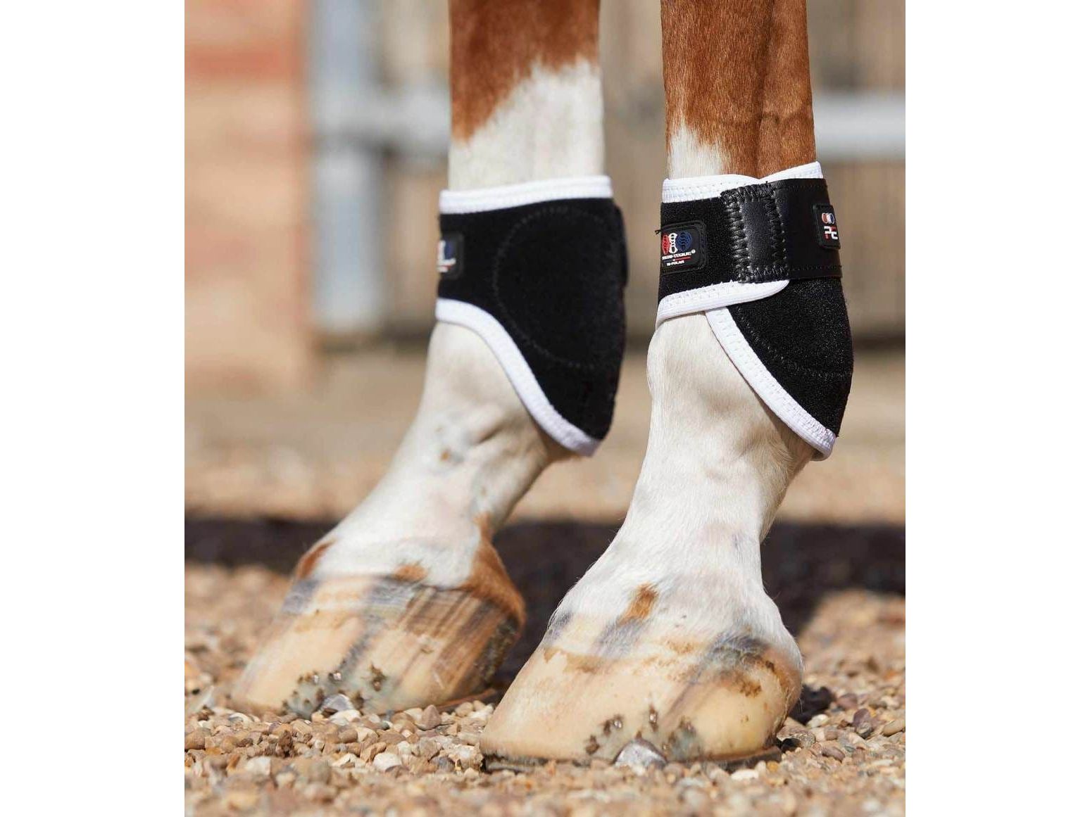 Premier Equine Bi-Polar Magni-Teque Fetlock Boots