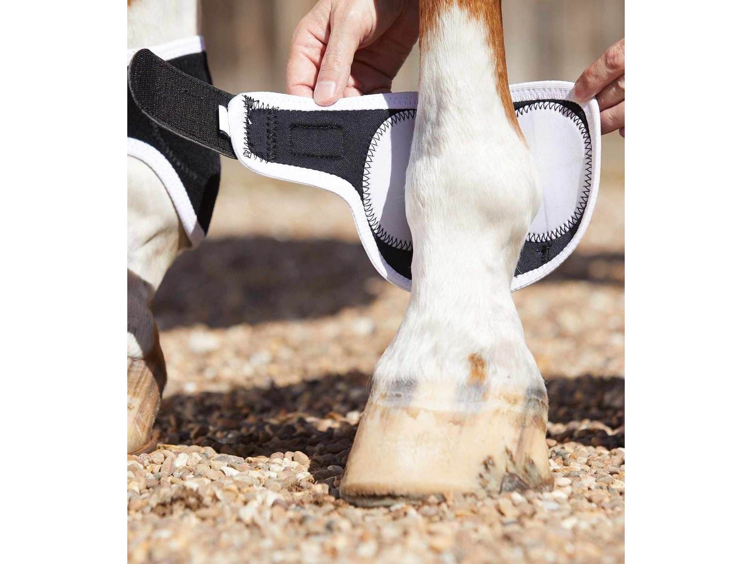 Premier Equine Bi-Polar Magni-Teque Fetlock Boots