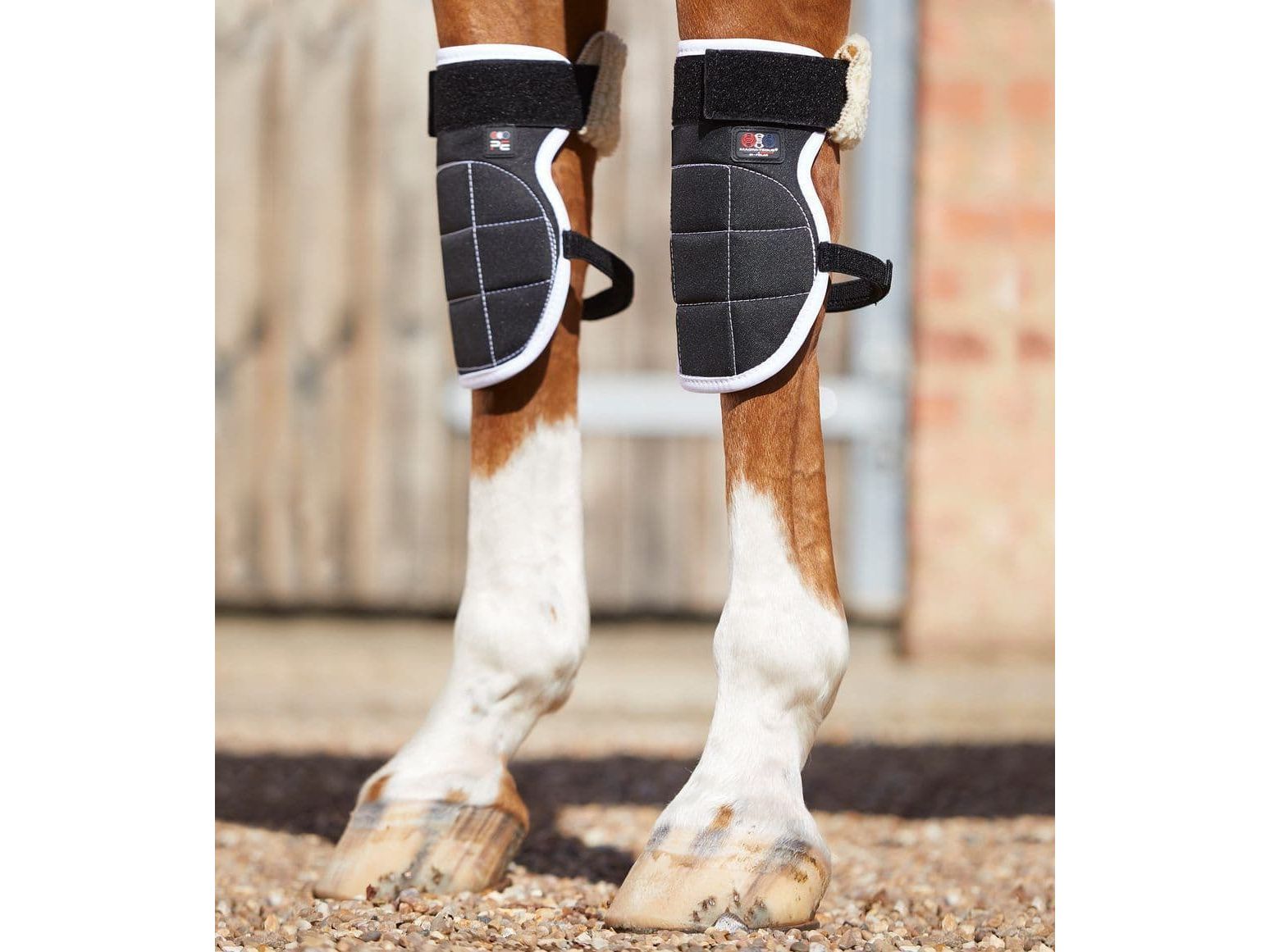 Premier Equine Bi-Polar Magni-Teque Horse Knee Boots