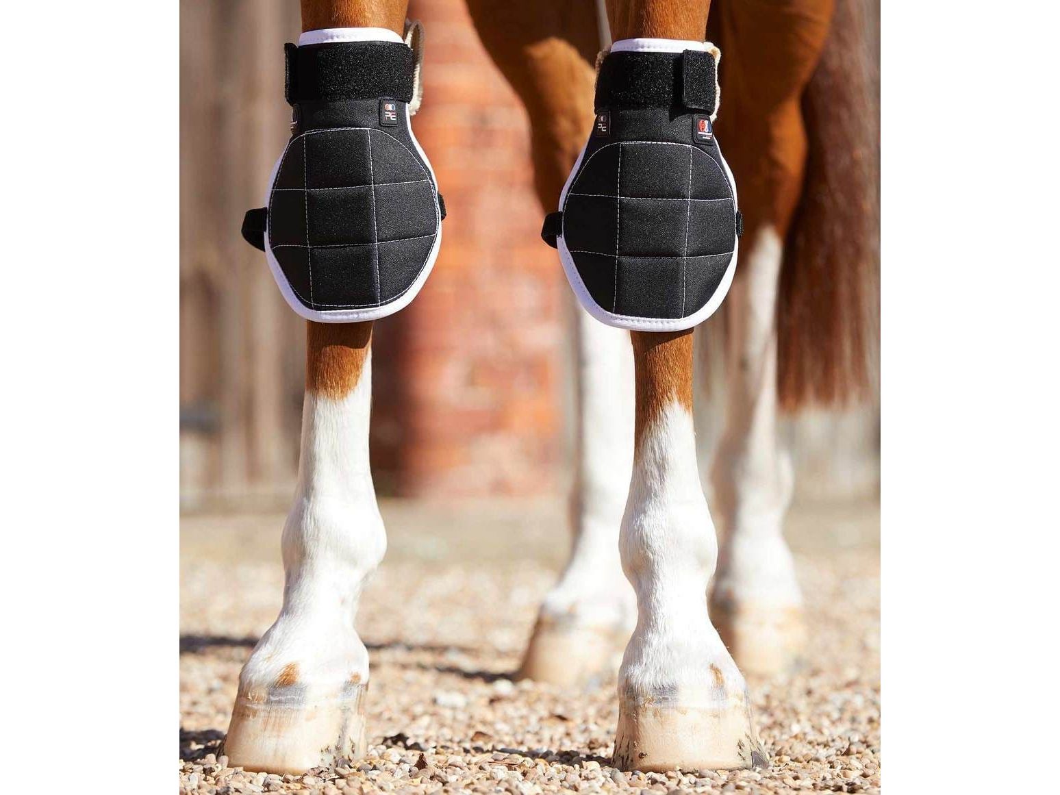 Premier Equine Bi-Polar Magni-Teque Horse Knee Boots