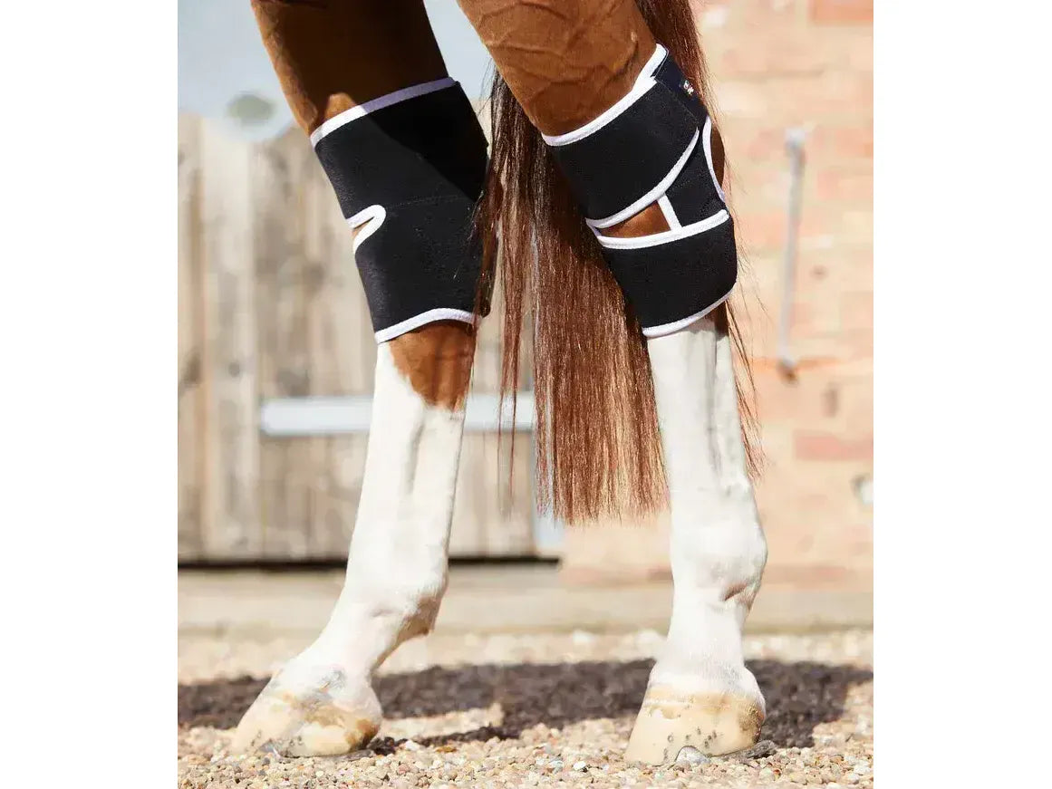 Premier Equine Bi-Polar Magni-Teque Magnetic Hock Boots
